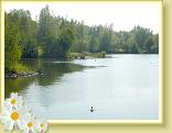 Rieulay_01.09.2011 (4)